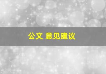 公文 意见建议